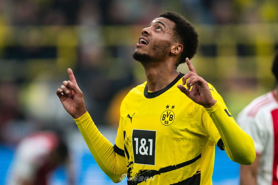 本届杯赛将 本届杯赛将